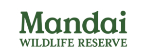 Mandai logo